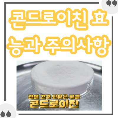 콘드로이친 효능과 고를 때 주의사항