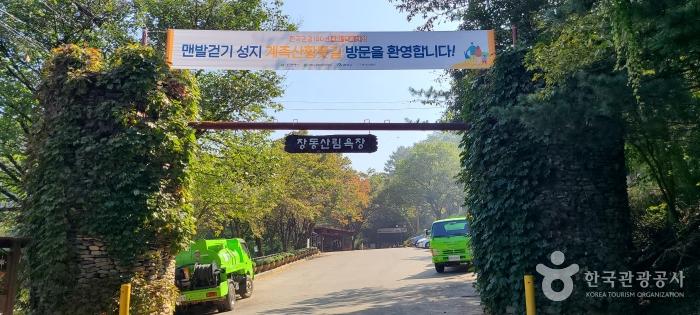 대전근교 주말나들이 계족산 황톳길