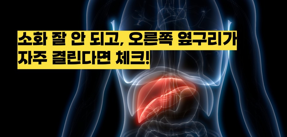 담낭염 증상