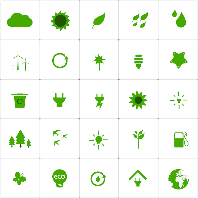 재생 에너지 관련 정책, 지속 가능 발전 정책, 지속 가능 에너지 정책, 기후변화 정책, 탄소 가격 결정, 탄소세