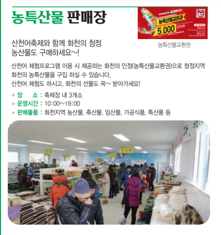 화천 산천어 축제