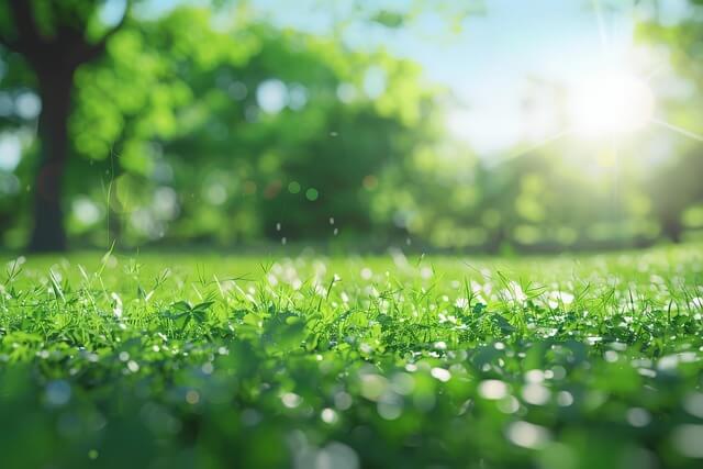 2025년 6월 황금연휴 가볼만한 곳 BEST 5