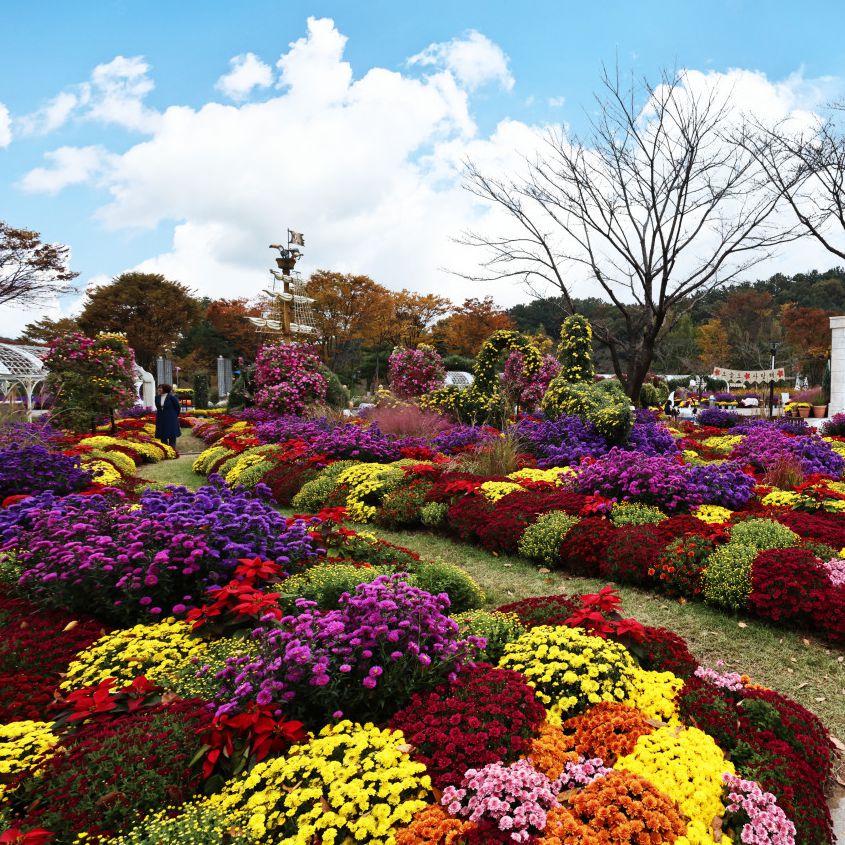 대전오월드 플라워랜드