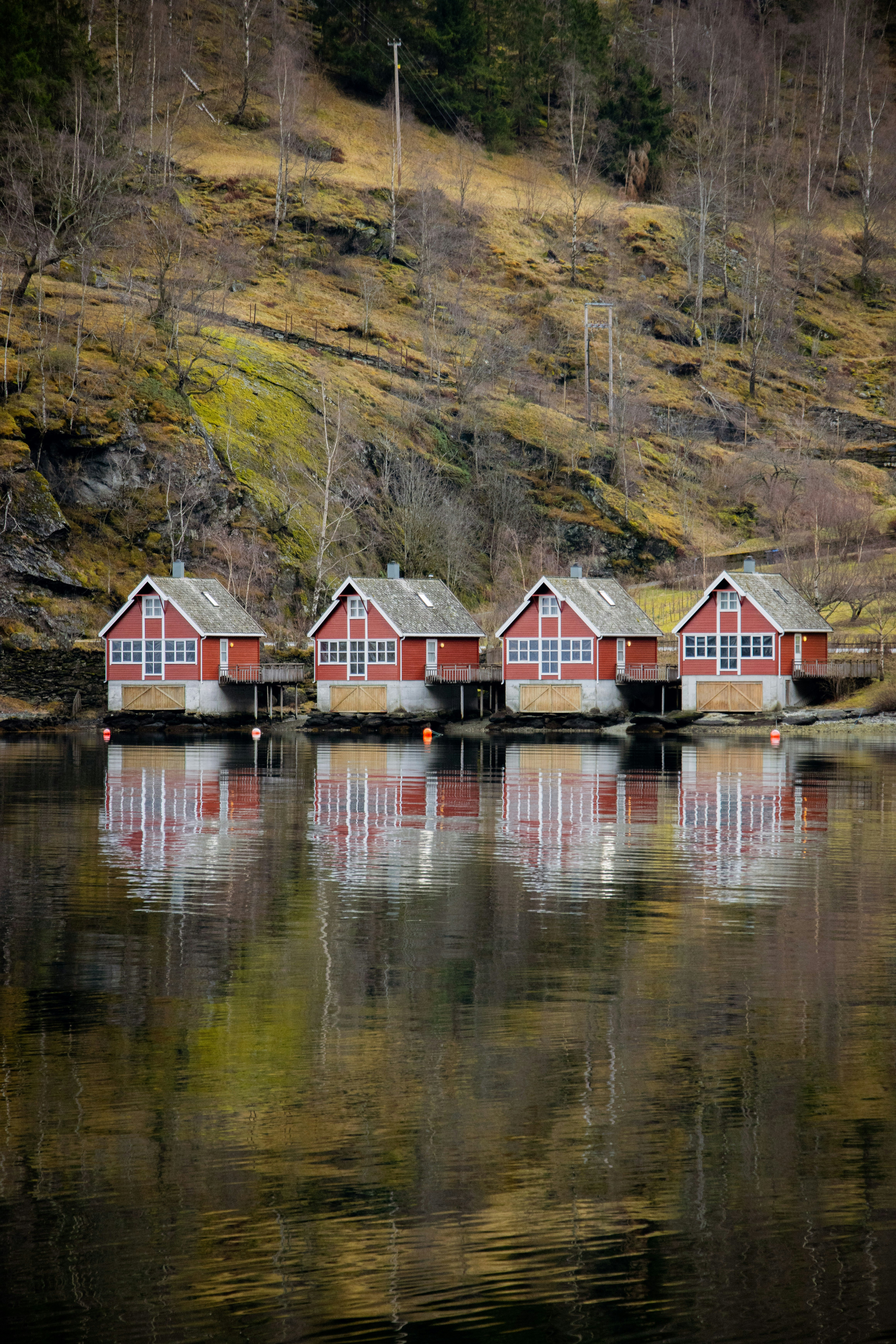 노르웨이 관련 사진