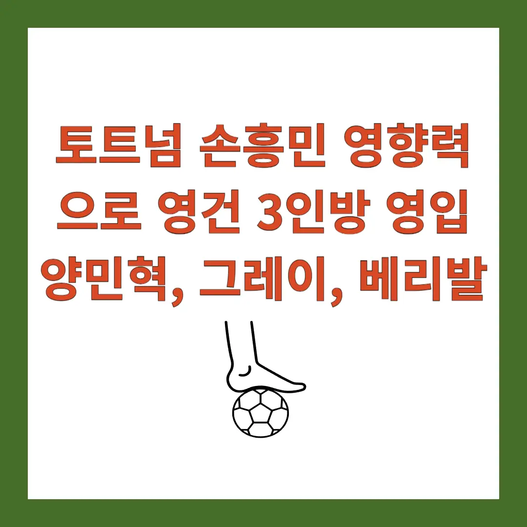 토트넘-손흥민-영건-영입