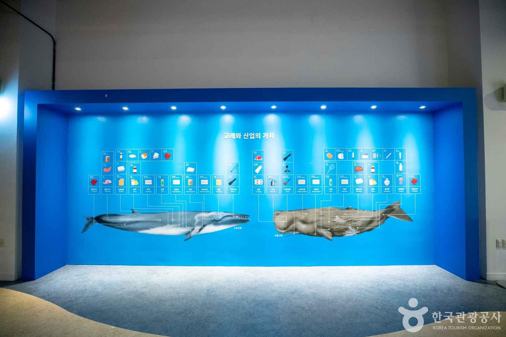 장생포 고래박물관