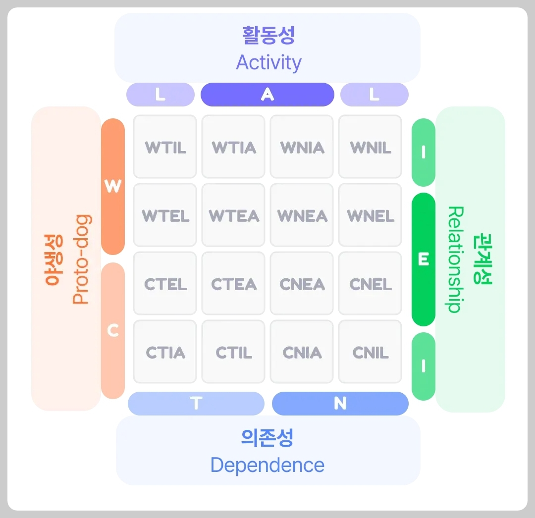 애견 강아지 MBTI 애견 DTBI 반려견성격 무료로 알아보세요