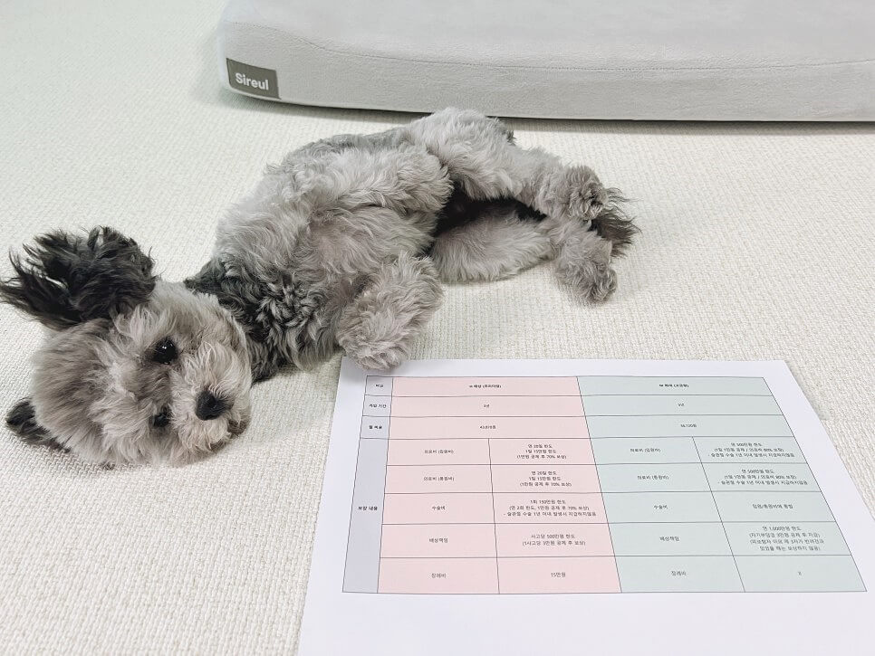 펫보험 비교