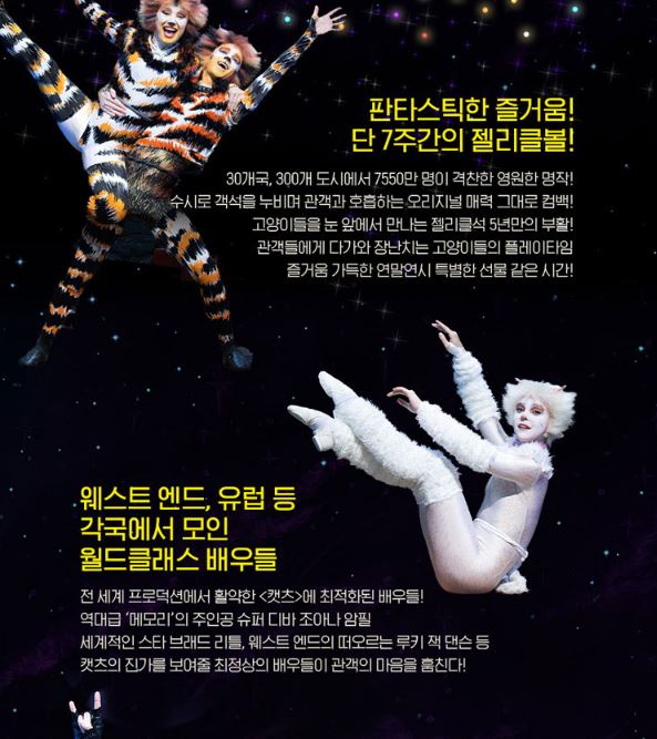 뮤지컬 캣츠 내한공연