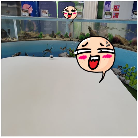 오산에코리움 - 1층 물속을 거닐다.