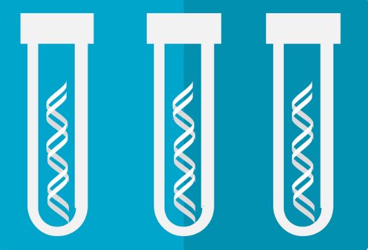 신생아 선별검사로 알 수 있는 질환들 관련 사진