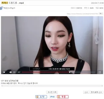 페미 뜻 확실히 알기_13