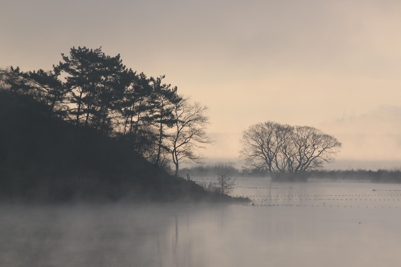 우포늪 이미지 사진