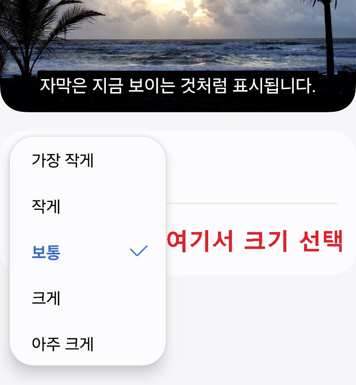 자막크기 선택창 보임