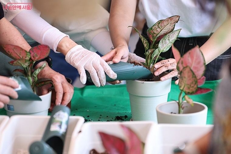 서울국제정원박람회