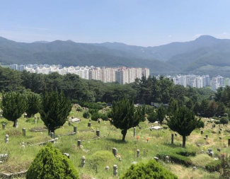 명절 벌초 방법