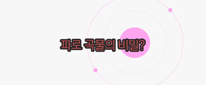 파로 곡물 효능 한번 정확하게 알아보도록 하죠