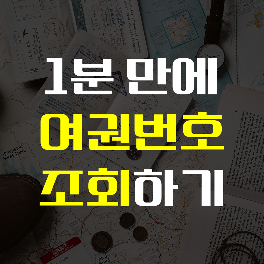 여권번호 조회 방법