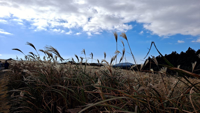 제주여행_산굼부리