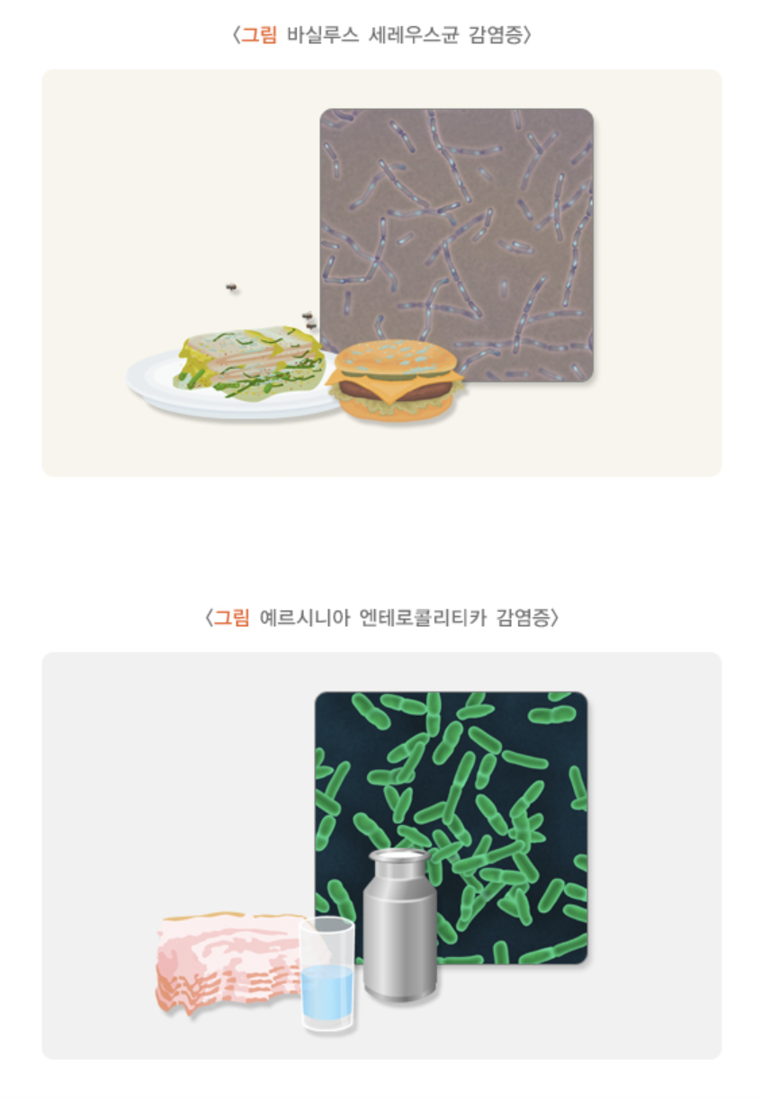 이외의 세균에 의한 감염증