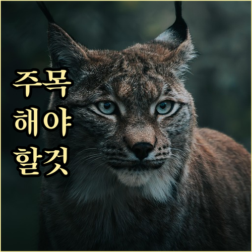 2025년 계룡시 학자금 이자 지원:..