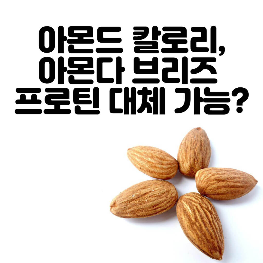 아몬드 칼로리, 아몬다 브리즈 프로틴 대체 가능할까