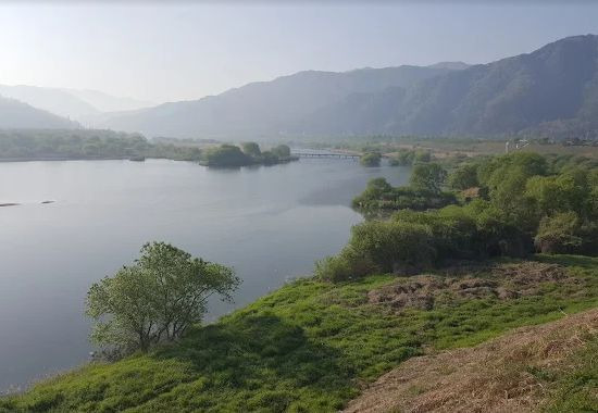 섬진강침실습지