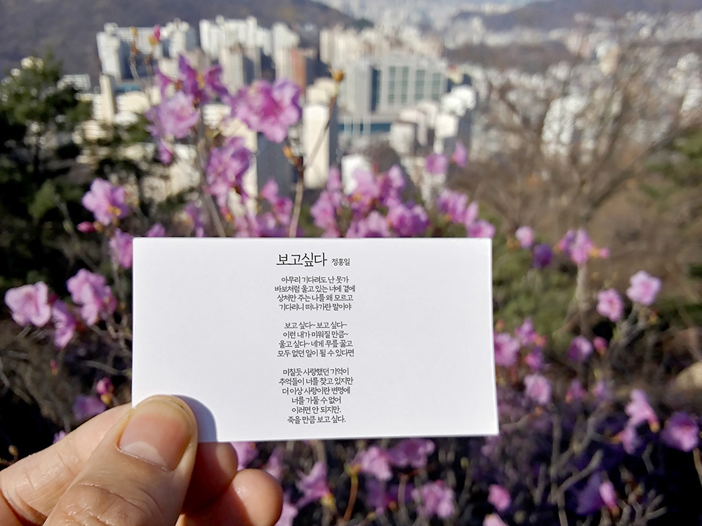정홍일의 보고싶다
