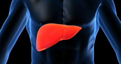 액상 비타민 Top 비교(오쏘물 이뮨, 뉴칸 더블파워, 아임비타 이뮨샷, 마그랩 포 에너지)