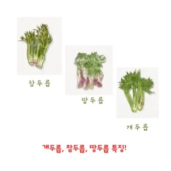 개두릅 참두릅 차이 섭취방법_11