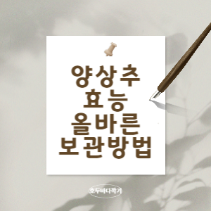 양상추-효능-올바른-보관-방법