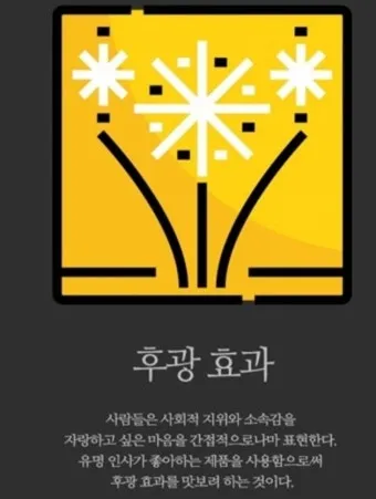 후광효과 뜻 실제 사례 유래 반대 개념 비판 시각_18