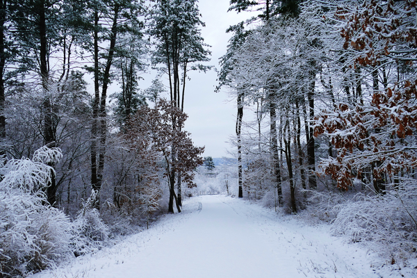 서울·경기권 겨울에 걷기 좋은 숲길 & 트레킹 코스 BEST 7