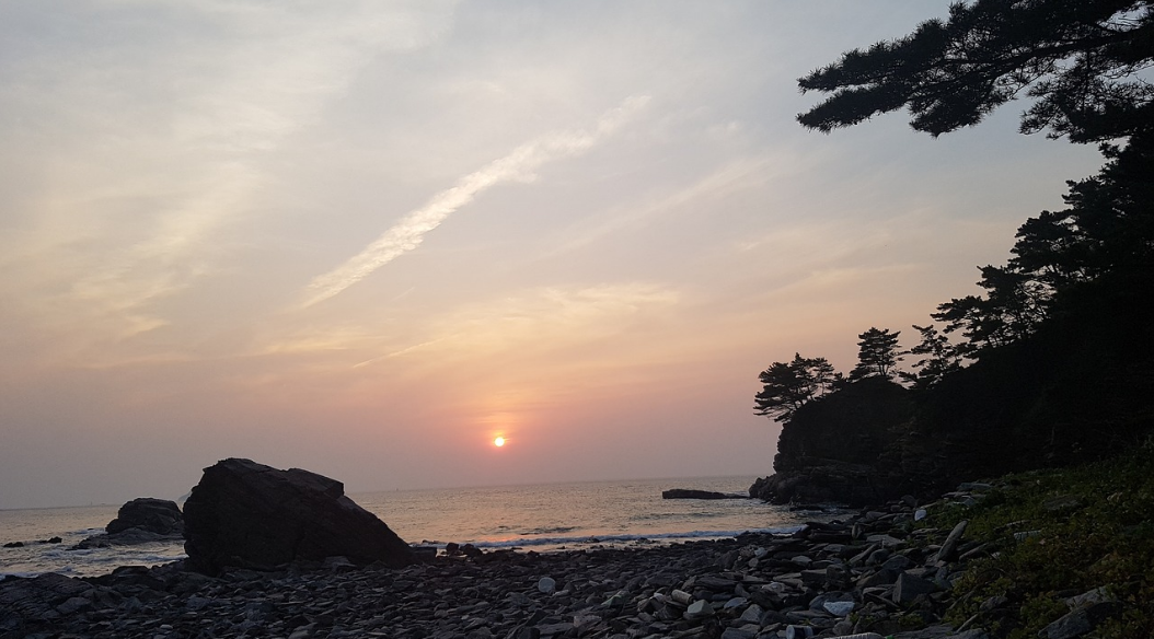 서해 태안
