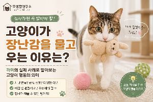 고양이가 장난감을 물고 우는 이유는 무엇일까요?