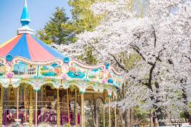 서울 벚꽃 명소