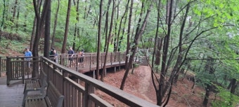 서울 둘레길 코스 정리 완벽가이드