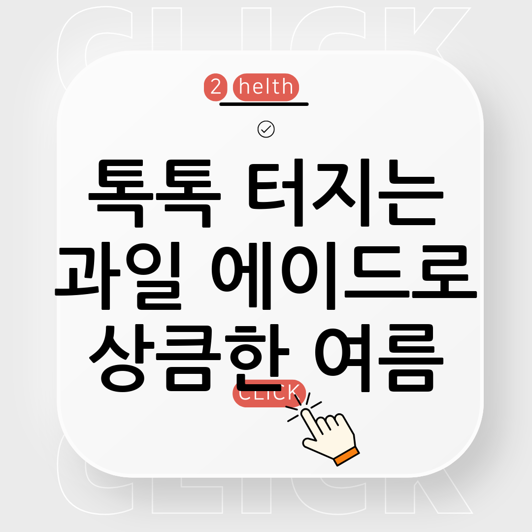 홈메이드 과일 에이드 레시피