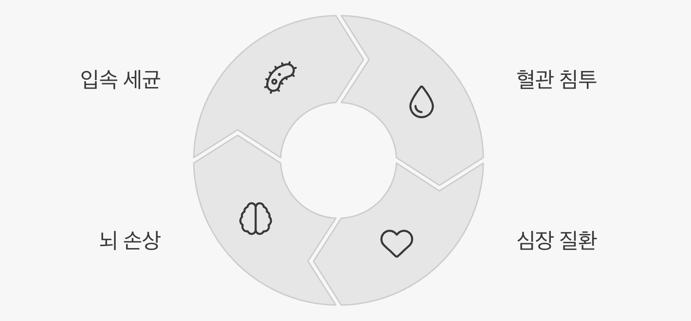 세균의 여행, 심장과 뇌를 공격하다