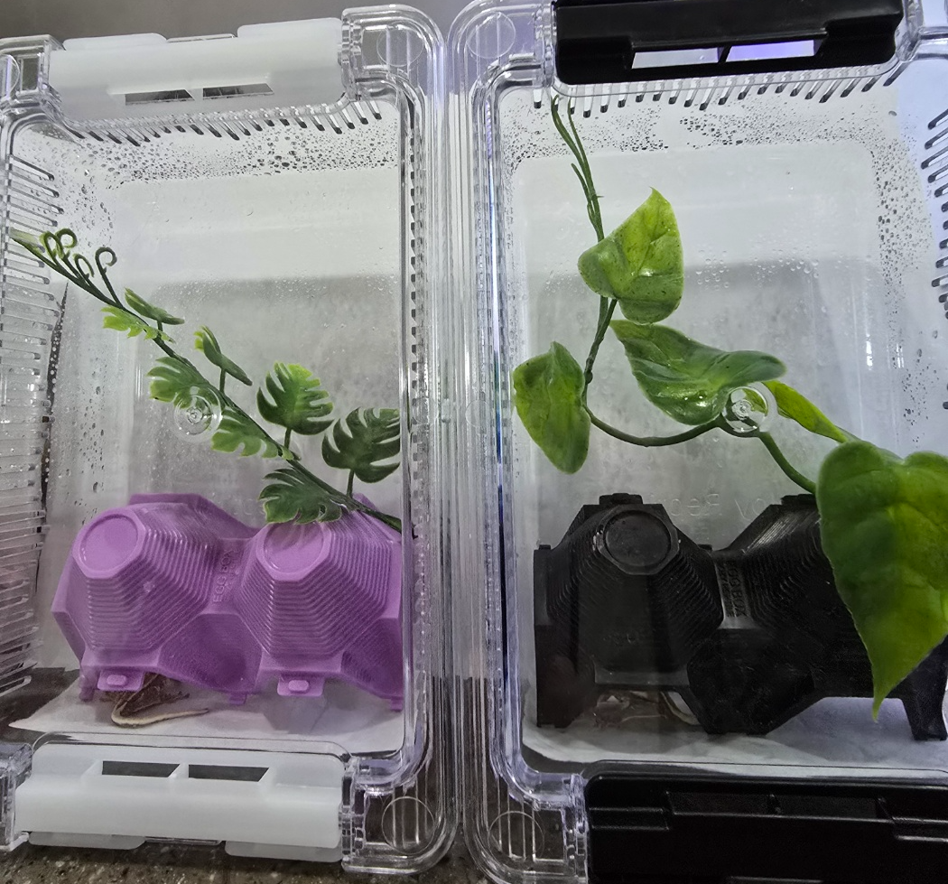 도마뱀 사육장 사진