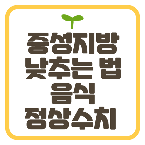 중성지방 낮추는 법 음식 정상 수치