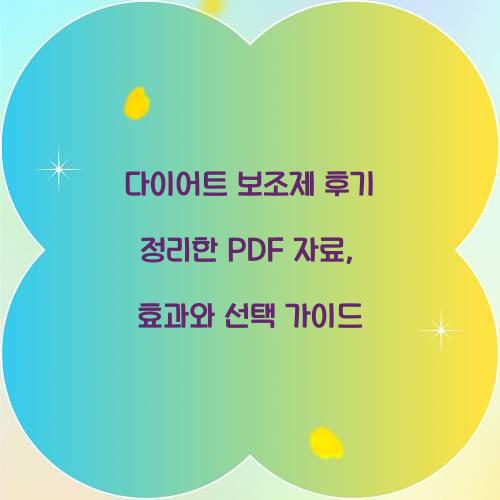 다이어트 보조제 후기 정리한 PDF 자료