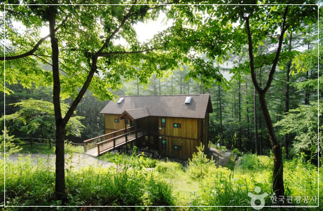 양평 가볼만한곳 베스트10 중미산 자연휴양림