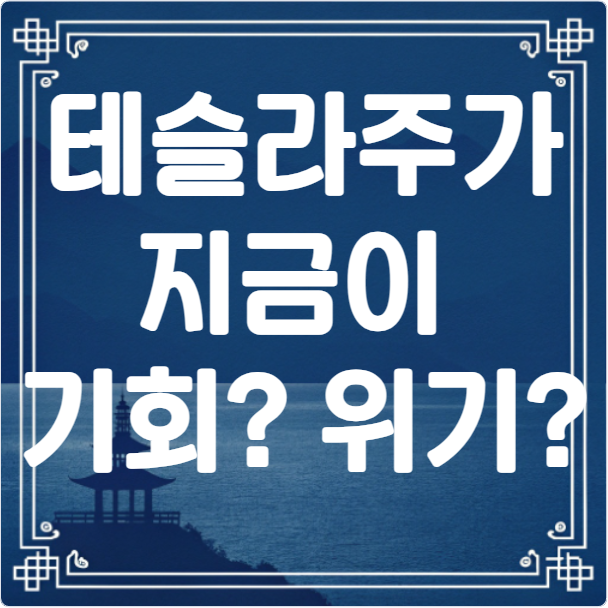 테슬라 주가 기회 위기