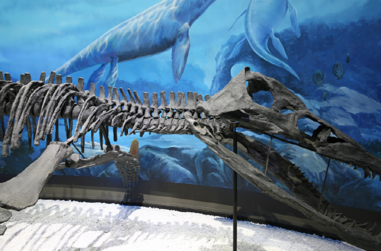 해남 공룡박물관