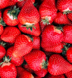 딸기 효능 부작용 칼로리 고르는법