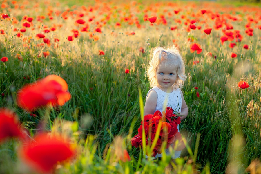 아이랑 나들이 사진