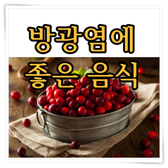 방광염에 좋은 음식