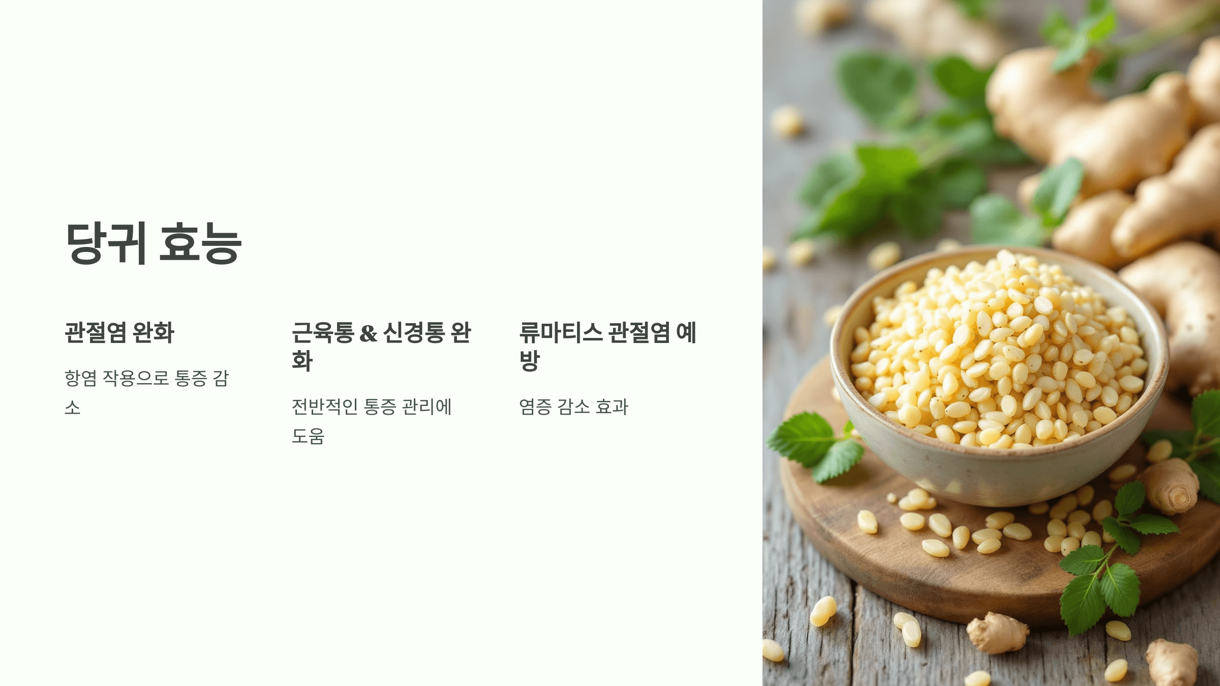 당귀 사진입니다.