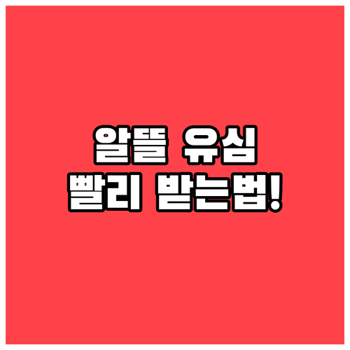 알뜰폰 유심 빨리 받는 확실한 루트 ..